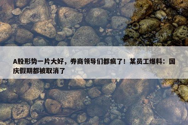 A股形势一片大好，券商领导们都疯了！某员工爆料：国庆假期都被取消了