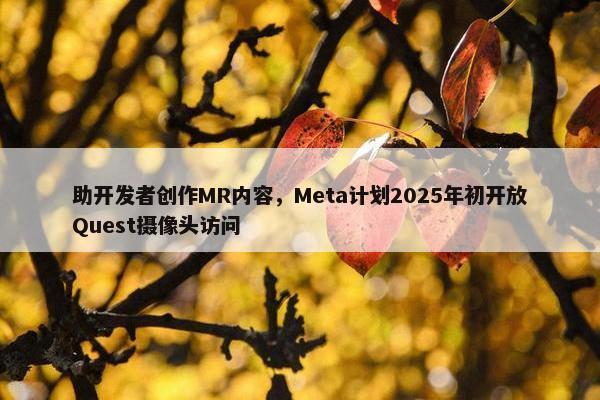 助开发者创作MR内容，Meta计划2025年初开放Quest摄像头访问