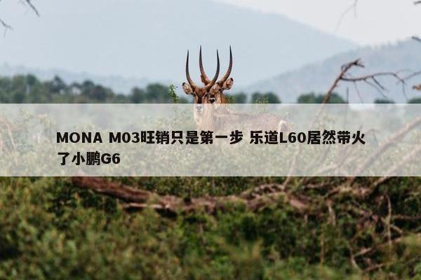 MONA M03旺销只是第一步 乐道L60居然带火了小鹏G6