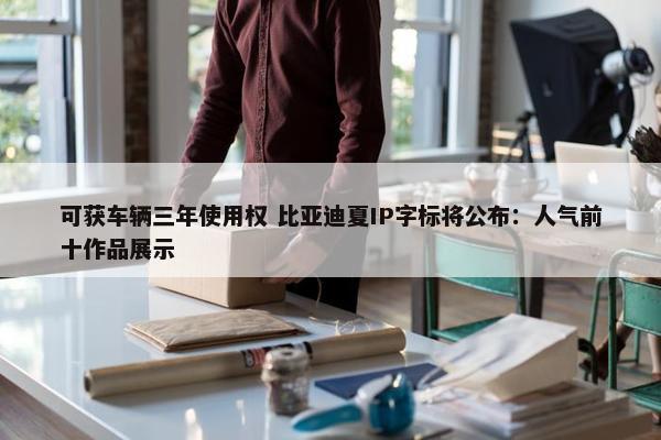 可获车辆三年使用权 比亚迪夏IP字标将公布：人气前十作品展示