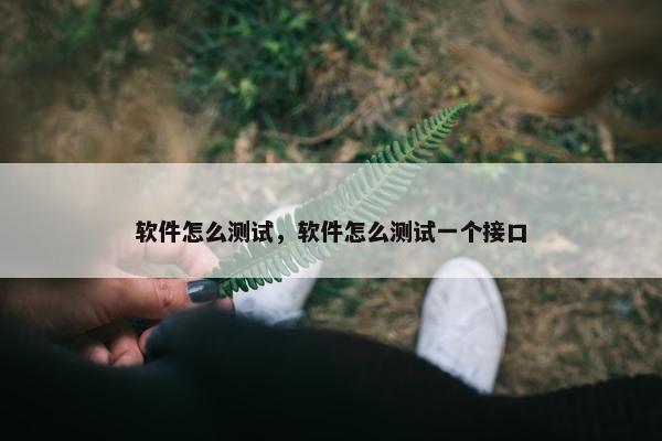 软件怎么测试，软件怎么测试一个接口