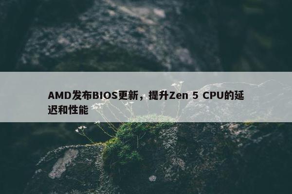 AMD发布BIOS更新，提升Zen 5 CPU的延迟和性能