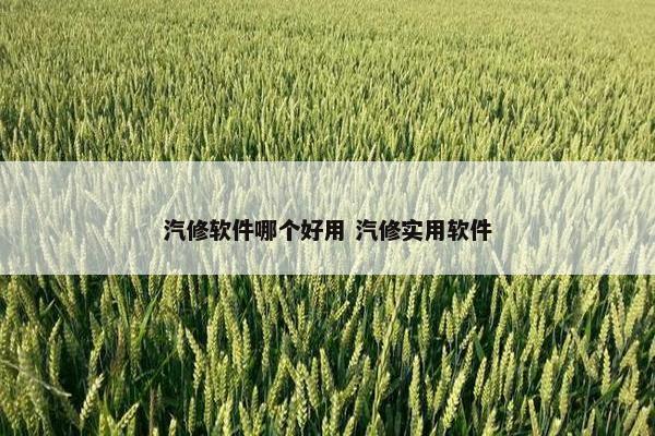 汽修软件哪个好用 汽修实用软件