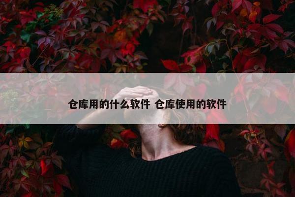 仓库用的什么软件 仓库使用的软件