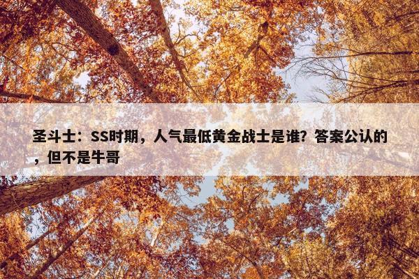 圣斗士：SS时期，人气最低黄金战士是谁？答案公认的，但不是牛哥