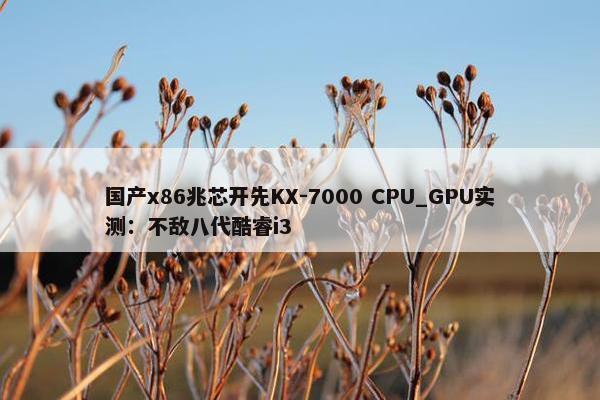 国产x86兆芯开先KX-7000 CPU_GPU实测：不敌八代酷睿i3