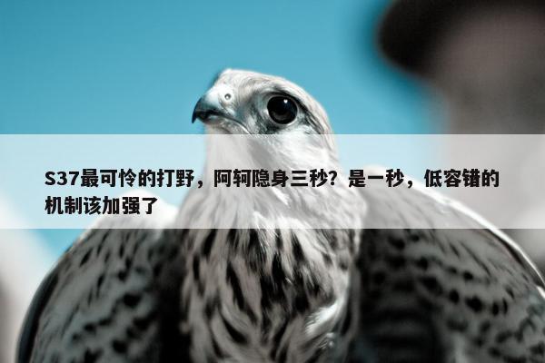 S37最可怜的打野，阿轲隐身三秒？是一秒，低容错的机制该加强了