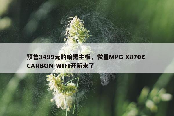 预售3499元的暗黑主板，微星MPG X870E CARBON WIFI开箱来了