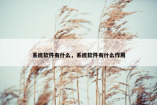 系统软件有什么，系统软件有什么作用