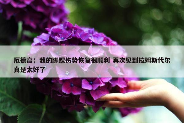 厄德高：我的脚踝伤势恢复很顺利 再次见到拉姆斯代尔真是太好了