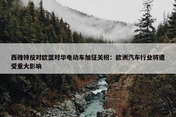 西雅特反对欧盟对华电动车加征关税：欧洲汽车行业将遭受重大影响