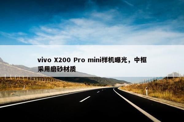 vivo X200 Pro mini样机曝光，中框采用磨砂材质