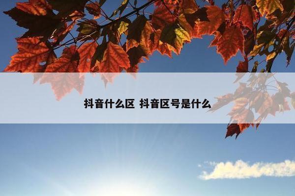 抖音什么区 抖音区号是什么