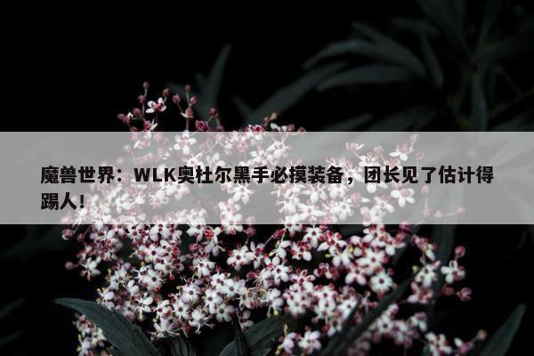 魔兽世界：WLK奥杜尔黑手必摸装备，团长见了估计得踢人！