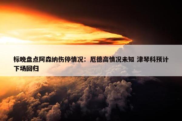 标晚盘点阿森纳伤停情况：厄德高情况未知 津琴科预计下场回归