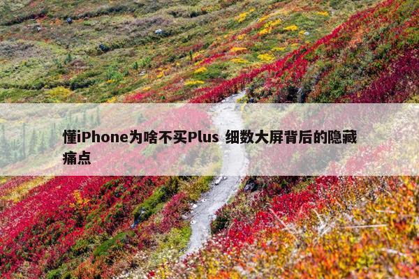 懂iPhone为啥不买Plus 细数大屏背后的隐藏痛点