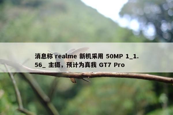 消息称 realme 新机采用 50MP 1_1.56_ 主摄，预计为真我 GT7 Pro