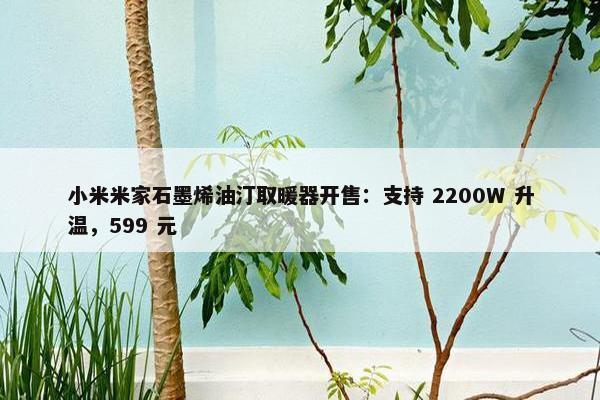 小米米家石墨烯油汀取暖器开售：支持 2200W 升温，599 元