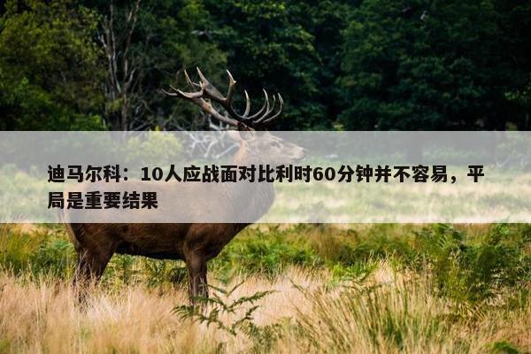 迪马尔科：10人应战面对比利时60分钟并不容易，平局是重要结果