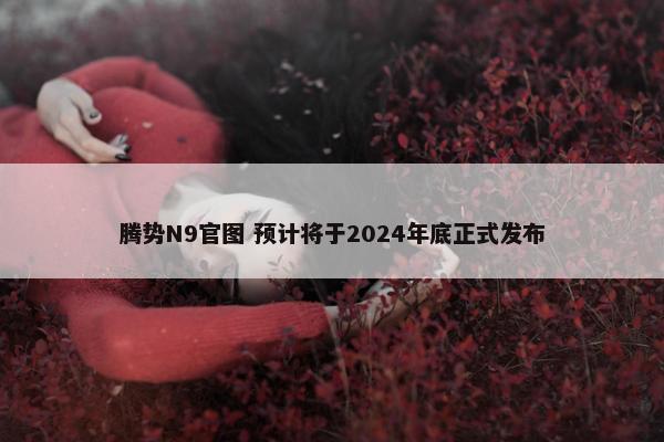 腾势N9官图 预计将于2024年底正式发布