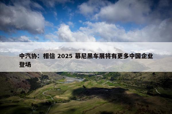 中汽协：相信 2025 慕尼黑车展将有更多中国企业登场