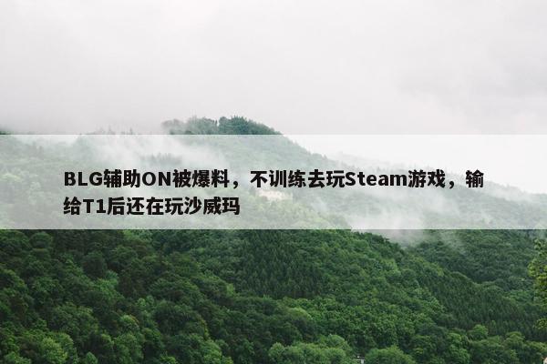 BLG辅助ON被爆料，不训练去玩Steam游戏，输给T1后还在玩沙威玛