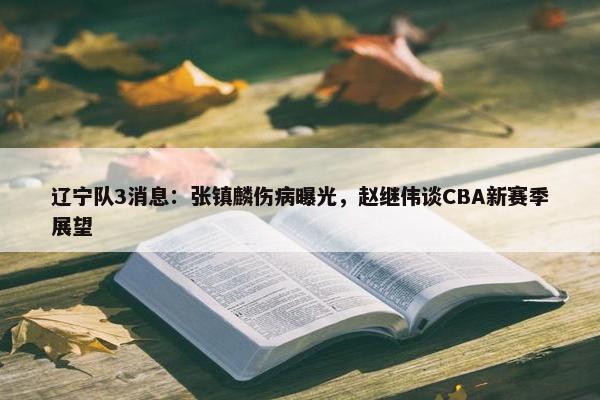 辽宁队3消息：张镇麟伤病曝光，赵继伟谈CBA新赛季展望