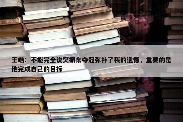 王皓：不能完全说樊振东夺冠弥补了我的遗憾，重要的是他完成自己的目标