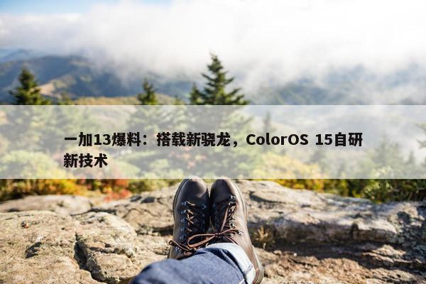 一加13爆料：搭载新骁龙，ColorOS 15自研新技术