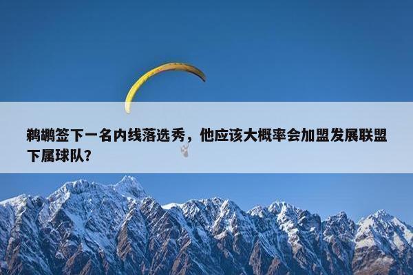 鹈鹕签下一名内线落选秀，他应该大概率会加盟发展联盟下属球队？