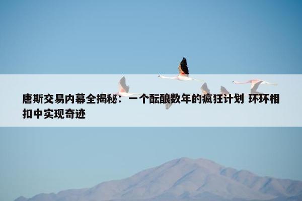 唐斯交易内幕全揭秘：一个酝酿数年的疯狂计划 环环相扣中实现奇迹