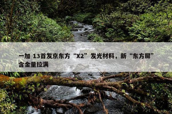 一加 13首发京东方“X2”发光材料，新“东方屏”含金量拉满