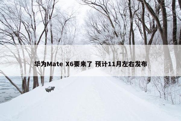 华为Mate X6要来了 预计11月左右发布