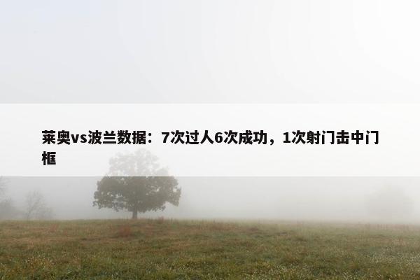 莱奥vs波兰数据：7次过人6次成功，1次射门击中门框