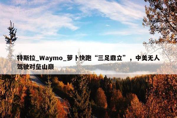 特斯拉_Waymo_萝卜快跑“三足鼎立”，中美无人驾驶对垒山巅