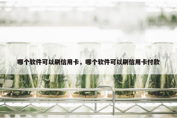 哪个软件可以刷信用卡，哪个软件可以刷信用卡付款