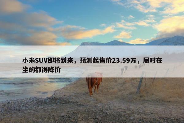 小米SUV即将到来，预测起售价23.59万，届时在坐的都得降价