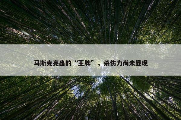 马斯克亮出的“王牌”，杀伤力尚未显现