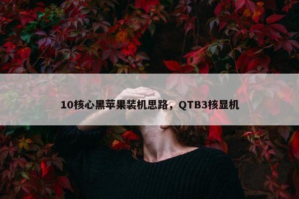 10核心黑苹果装机思路，QTB3核显机