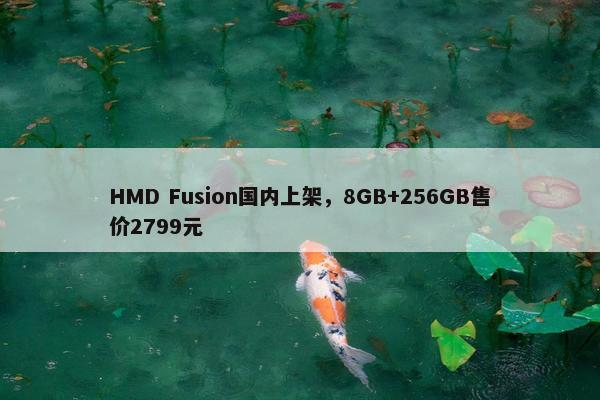 HMD Fusion国内上架，8GB+256GB售价2799元