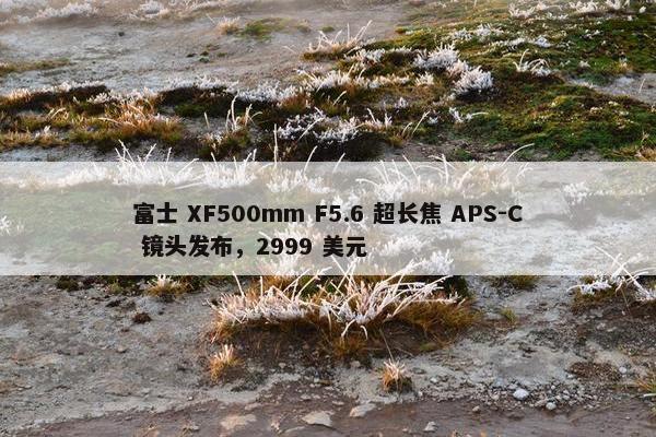 富士 XF500mm F5.6 超长焦 APS-C 镜头发布，2999 美元