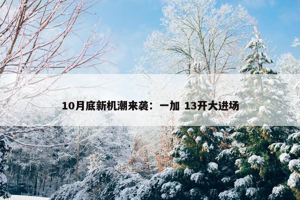 10月底新机潮来袭：一加 13开大进场