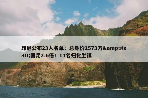 印尼公布23人名单：总身价2573万&#x3D;国足2.6倍！11名归化坐镇