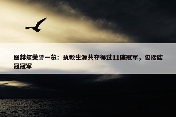 图赫尔荣誉一览：执教生涯共夺得过11座冠军，包括欧冠冠军