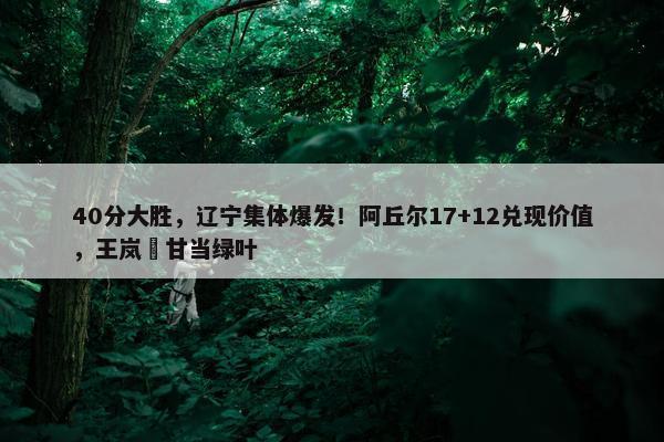 40分大胜，辽宁集体爆发！阿丘尔17+12兑现价值，王岚嵚甘当绿叶