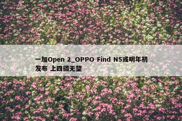 一加Open 2_OPPO Find N5或明年初发布 上四摄无望