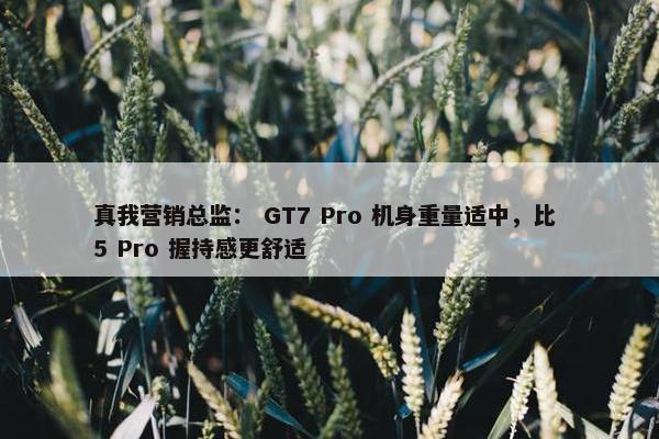 真我营销总监： GT7 Pro 机身重量适中，比 5 Pro 握持感更舒适