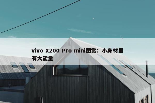 vivo X200 Pro mini图赏：小身材里有大能量