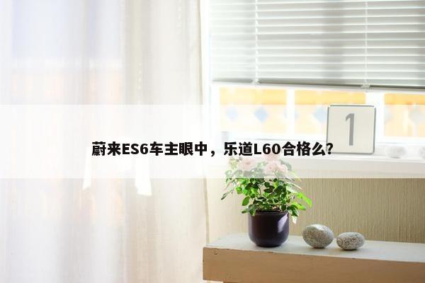 蔚来ES6车主眼中，乐道L60合格么？