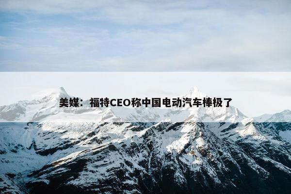 美媒：福特CEO称中国电动汽车棒极了